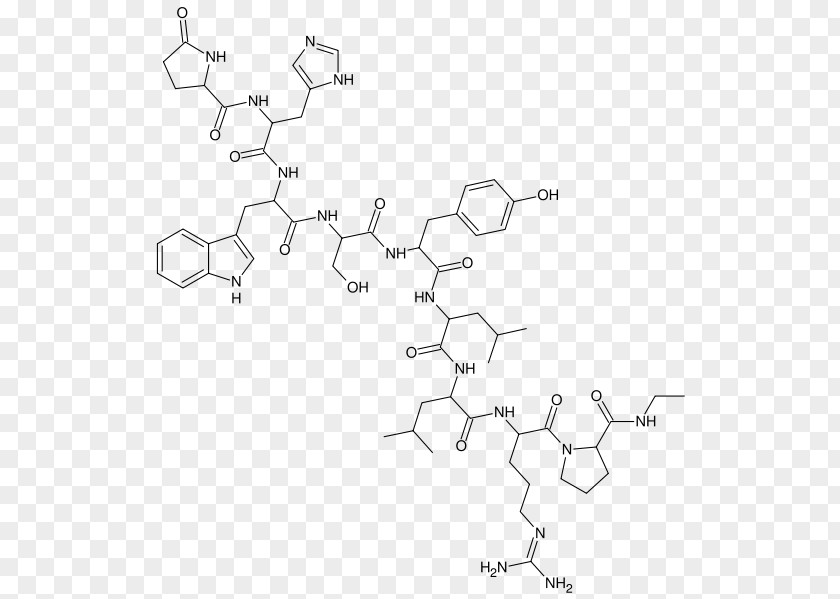 Gonadotropinreleasing Hormone Receptor Buserelin Gonadotropin-releasing Agonist Leuprorelin PNG