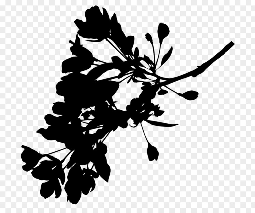M Plant Stem Leaf Flower / 0d Black & White PNG