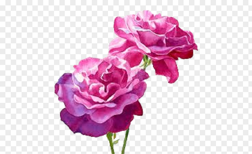 Painting Still Life: Pink Roses Watercolour Flowers Watercolor PNG