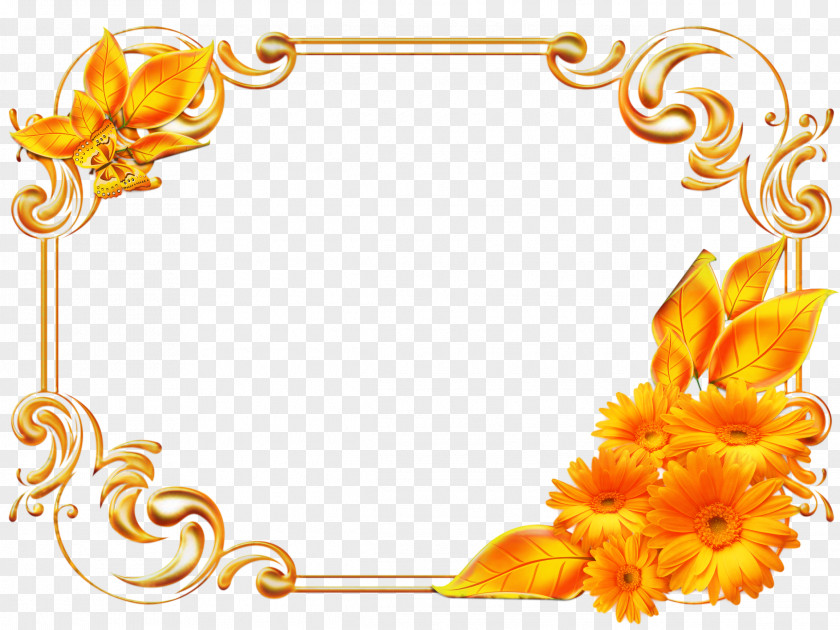 Rectangle Picture Frame Background Flowers PNG
