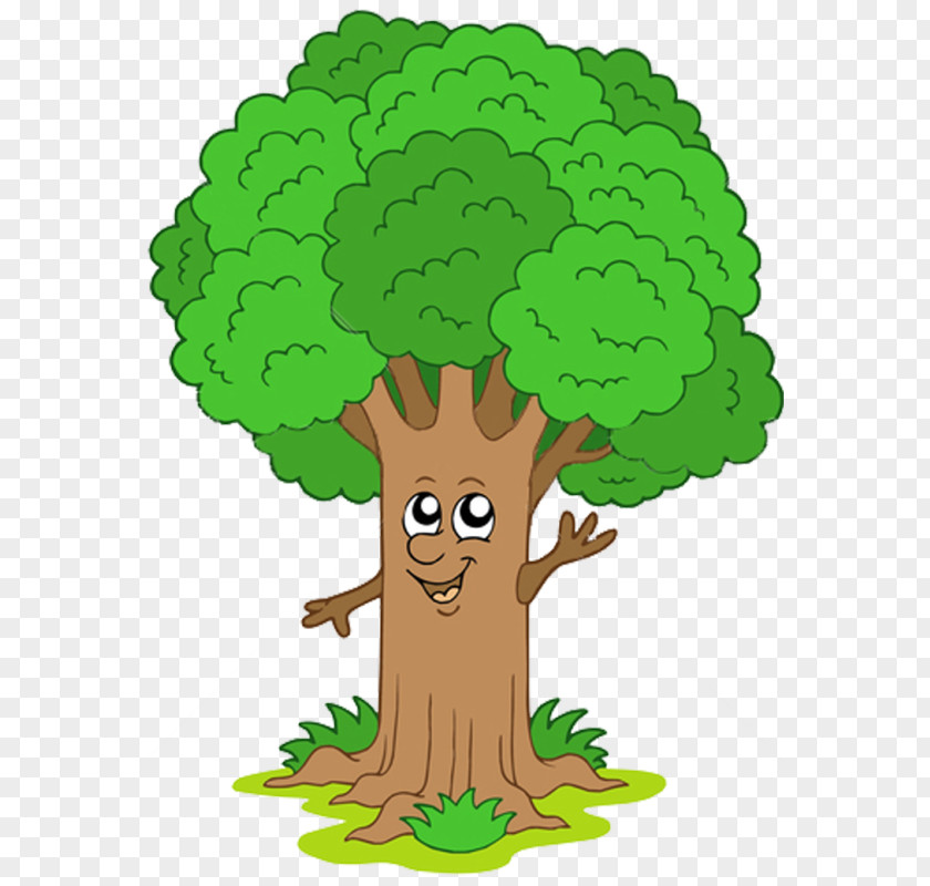 Tree Royalty-free Drawing PNG