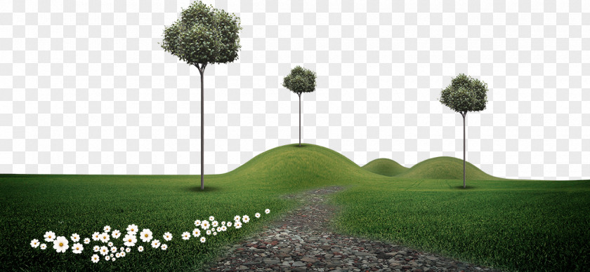 Trees And Flowers On The Grass Download Poster PNG