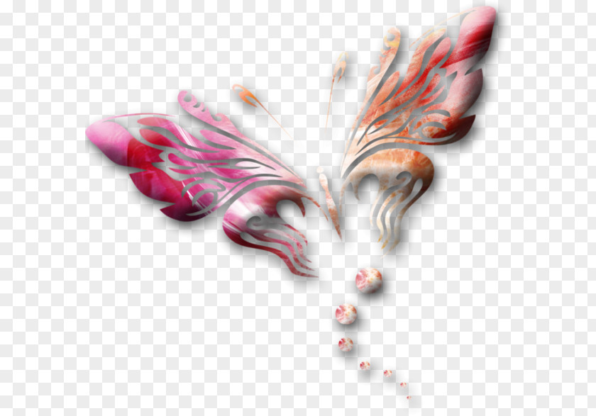 Butterfly Clip Art PNG