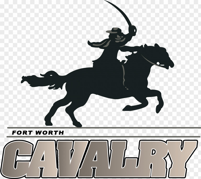 Fort Worth Cavalry Arena Football League Houston Thunderbears Brahmas PNG