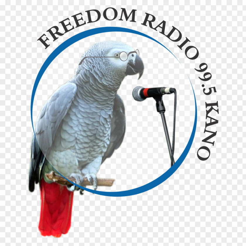 Freedom Radio Internet Kano FM Broadcasting BBC Hausa PNG