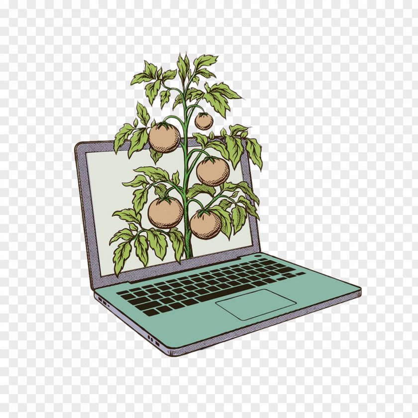 Grow Fruit Trees Notebook Australia Illustrator Art Illustration PNG