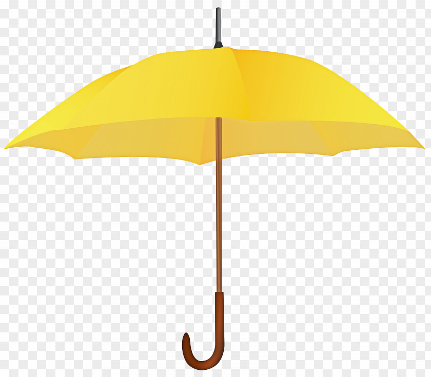 Lamp Italian Greyhound Umbrella Cartoon PNG