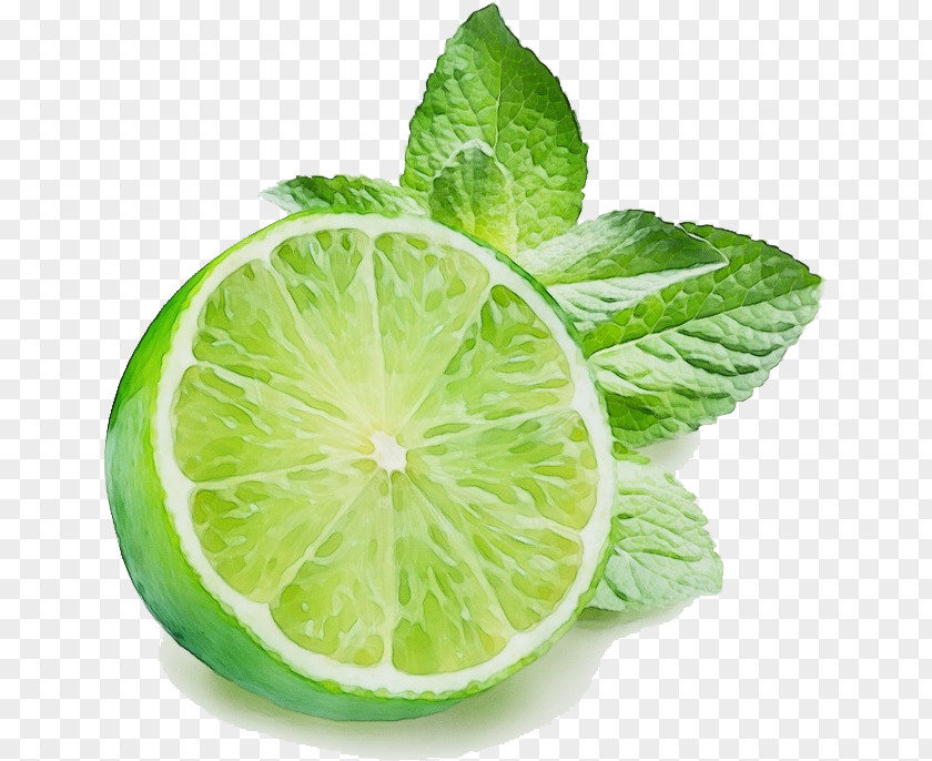 Lemon Fruit Lime Key Leaf Plant Persian PNG