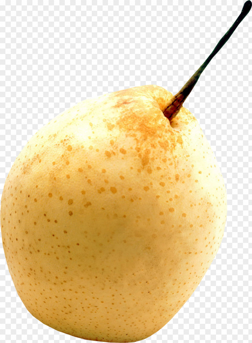 Orange Pears Pear Auglis PNG