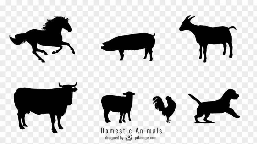 Sheep Cattle Horse Pig PNG