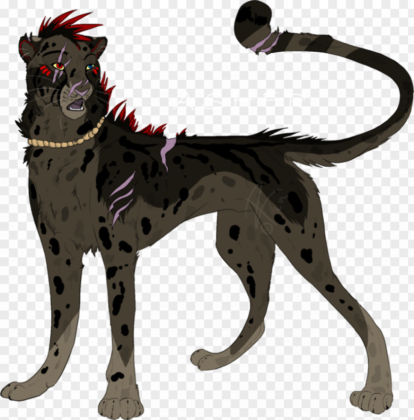 Dog Breed Cheetah Cat 7 September PNG