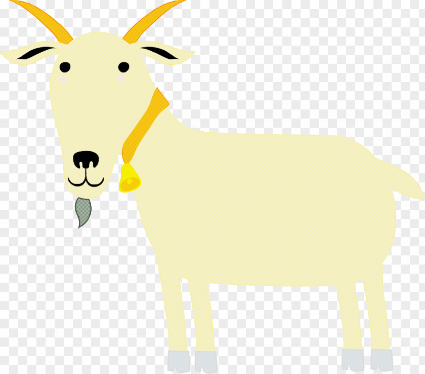 Goat Antelope Deer Sheep Horn PNG