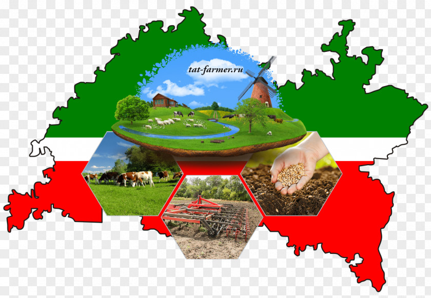 Map Tatarstan Republics Of Russia Mari El PNG