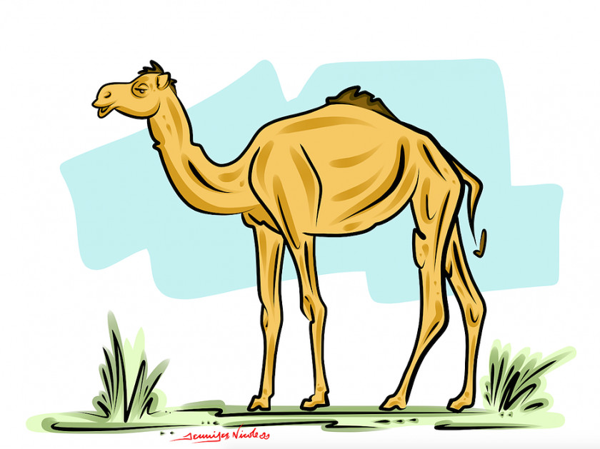 Screwball Cliparts Dromedary Daffy Duck Free Content Clip Art PNG