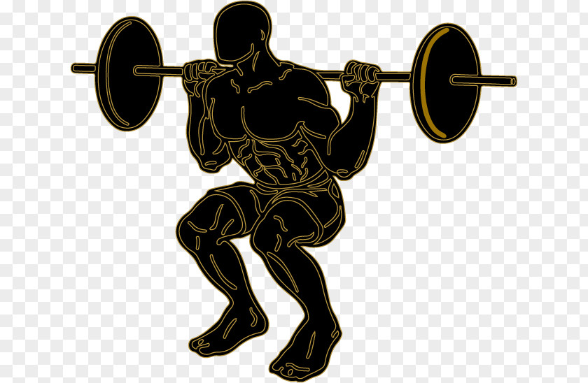 Silhouette Fitness Centre Squat Exercise Physical PNG