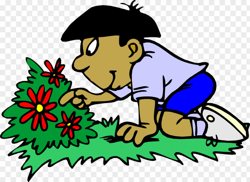 Spring Gardening Cartoon Worksheet Illustration Brassica Fruticulosa Food Teacher PNG