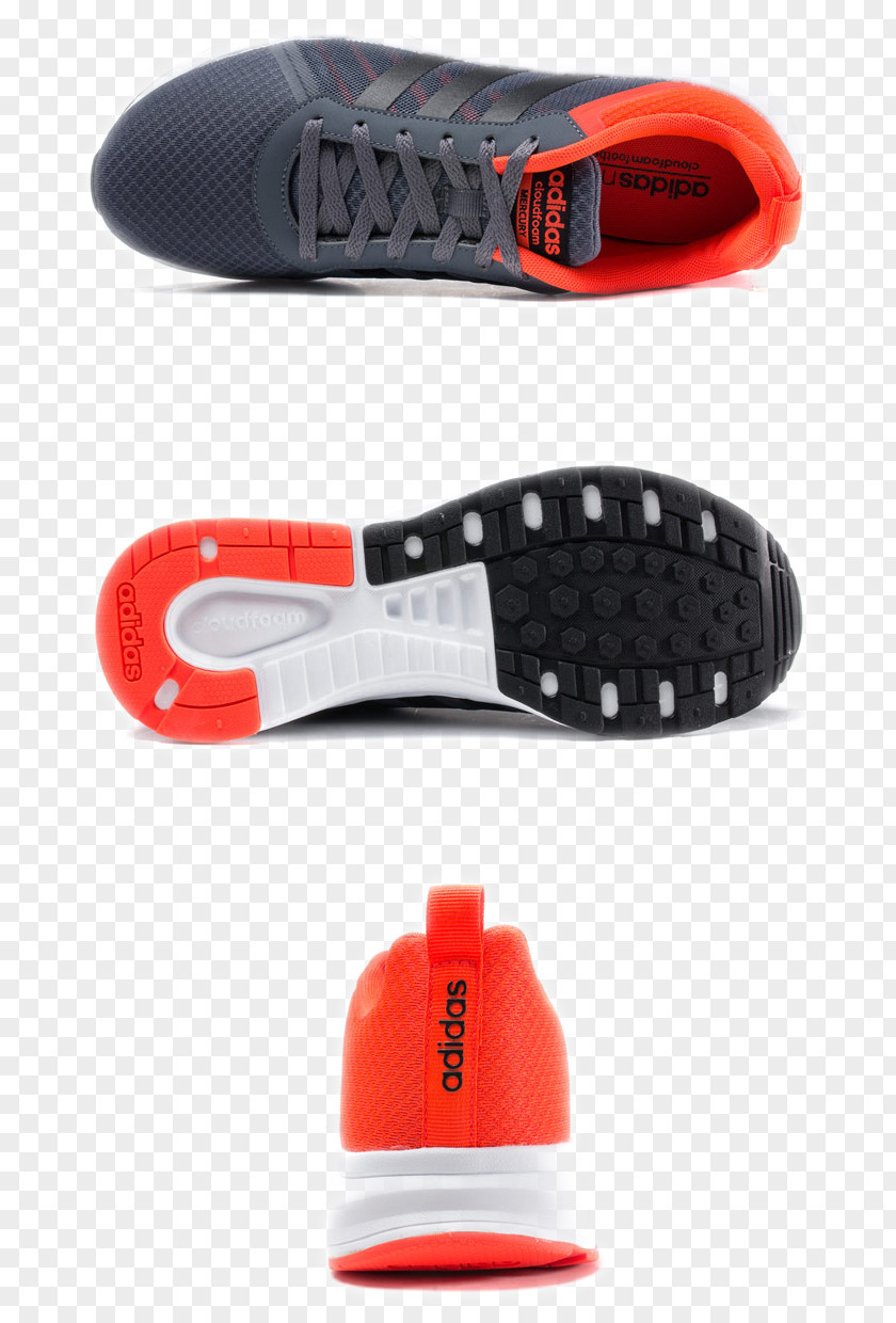 Adidas Shoes Shoe Sneakers PNG