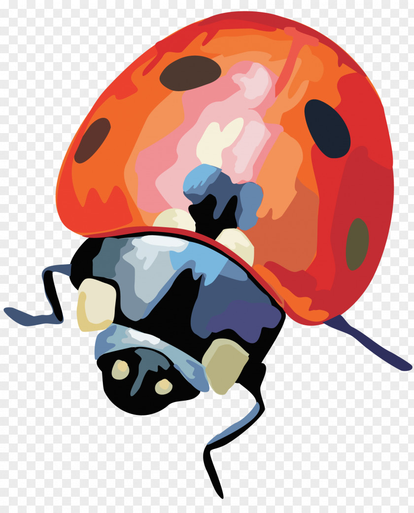 Beetle PNG