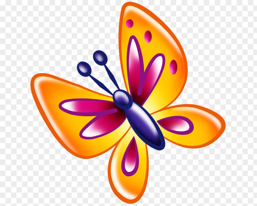 Butterfly Clip Art PNG