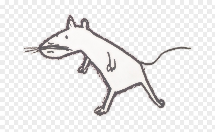 Cat Rat Canidae Macropodidae Line Art PNG