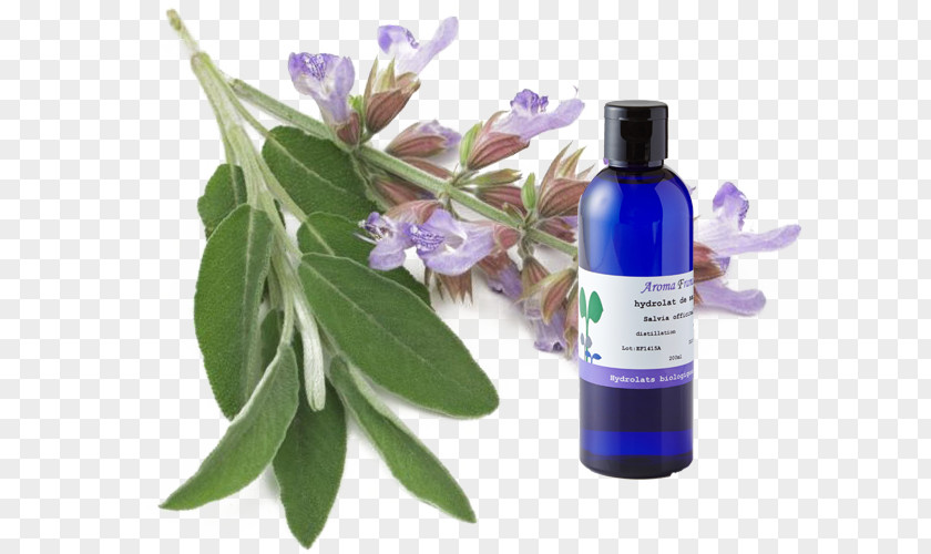 Cymbopogon Martinii Clary Common Sage Menstrual Cycle Herb Premenstrual Syndrome PNG