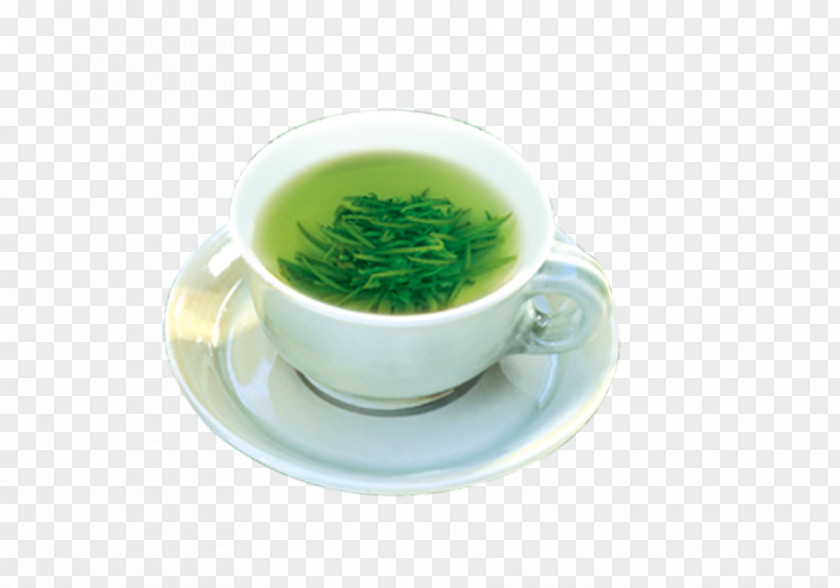 Green Tea Teacup Gratis PNG