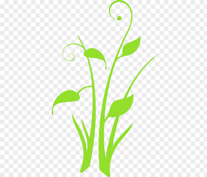 Pedicel Plant Flower Art Watercolor PNG