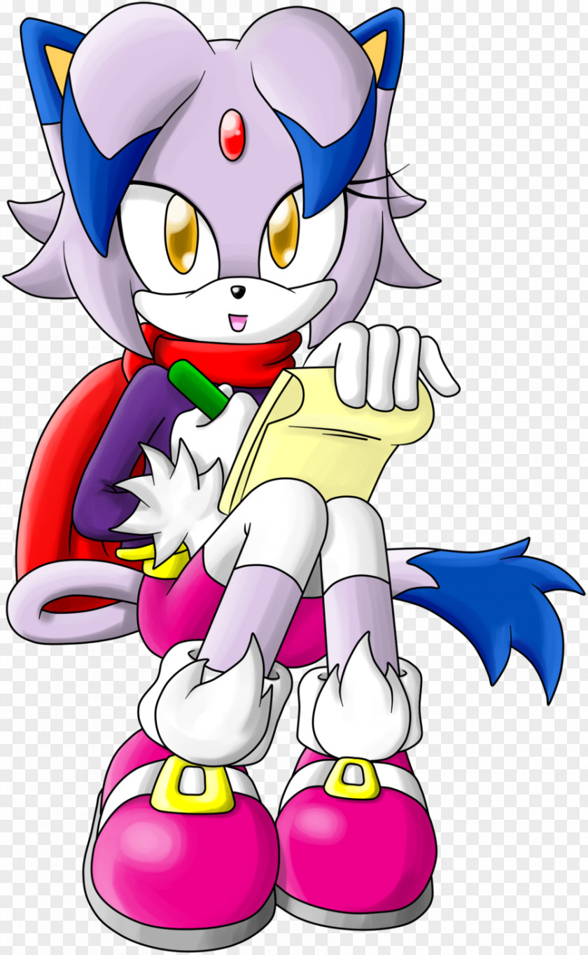 Sonic Hedgehog Outline And The Black Knight Shadow Blaze Cat Silver PNG