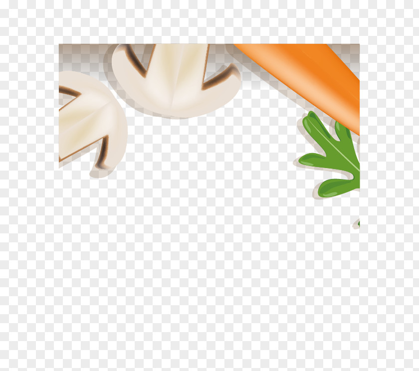 Vector Carrot Vegetarian Cuisine Vegetable Vegetarianism PNG