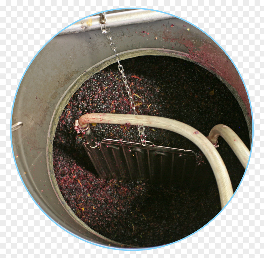 Wine Red Must Fermentation Winemaking PNG