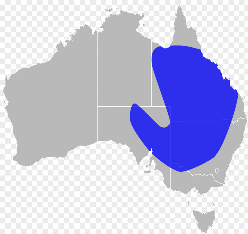 Australia World Map PNG