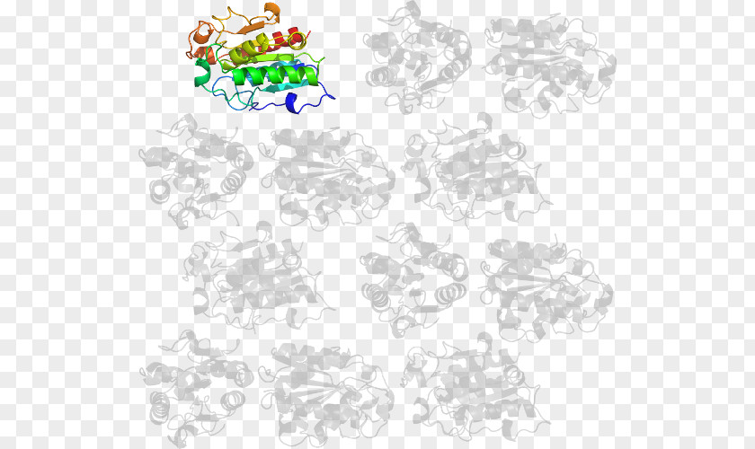 Flower Point Animal Clip Art PNG
