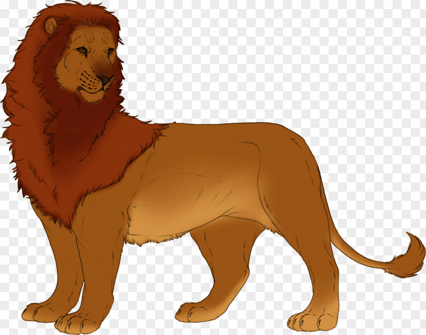 Lion Felidae Cat Cheetah Cougar PNG