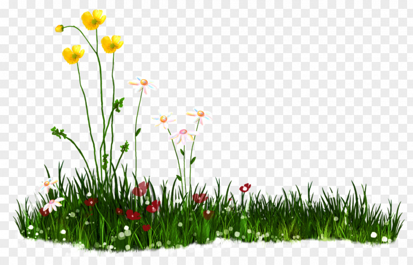 Nature Android Download Clip Art PNG
