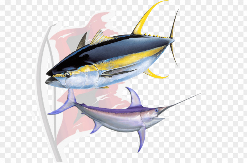 Tuna Yellowfin Sushi Atlantic Bluefin PNG
