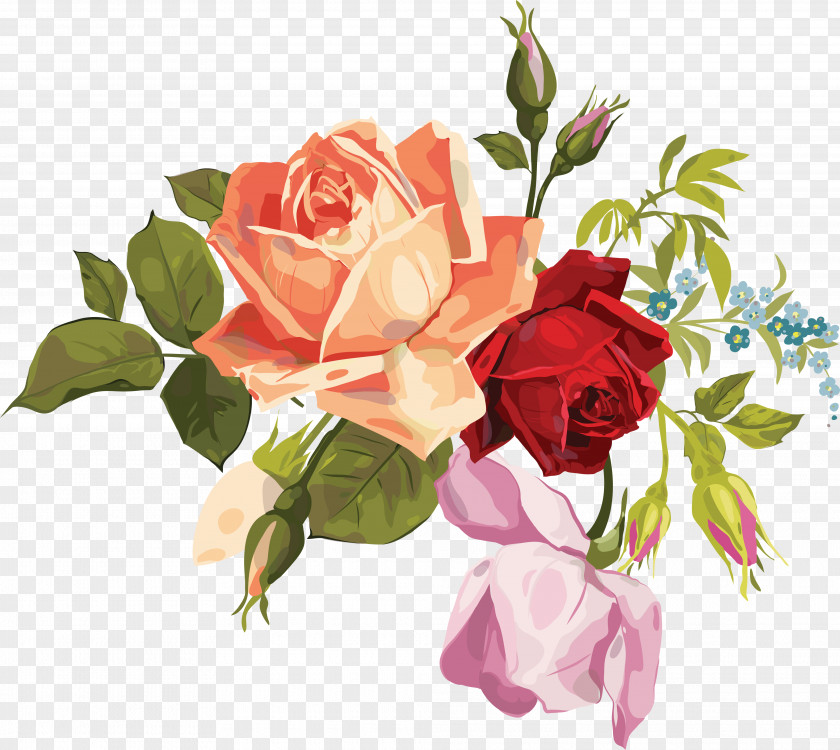 Watercolour Garden Roses Flower Bouquet Floral Design Cut Flowers PNG