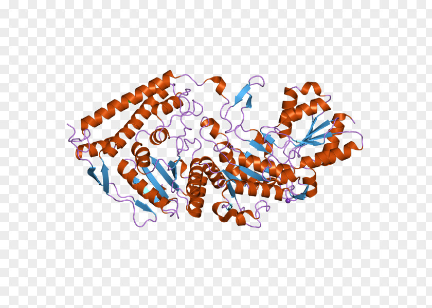 Pyruvate Dehydrogenase (lipoamide) Beta Dihydrolipoamide PNG