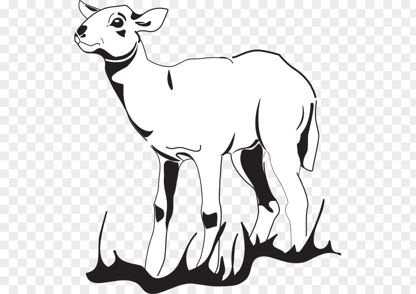 Cartoon Grass Sheep Agneau Goat Lamb And Mutton PNG
