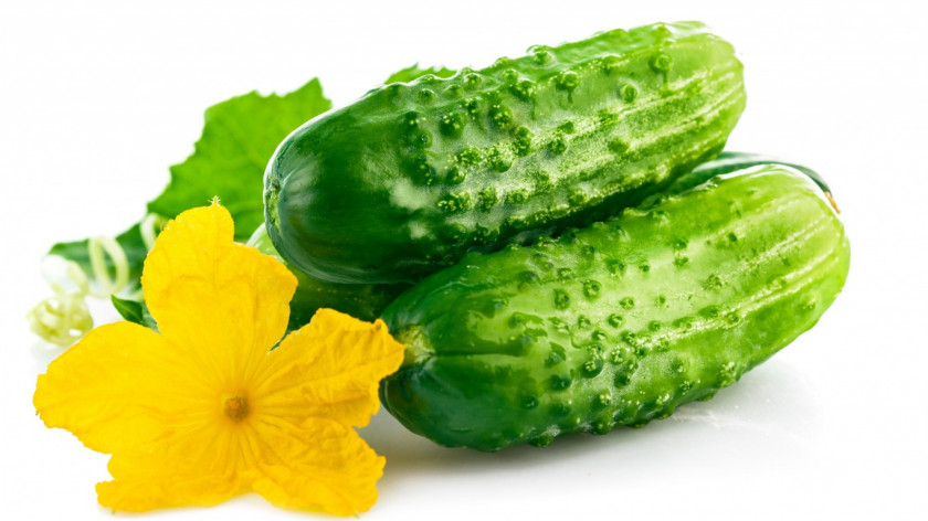 Cucumber Pickled Rassolnik Olivier Salad PNG