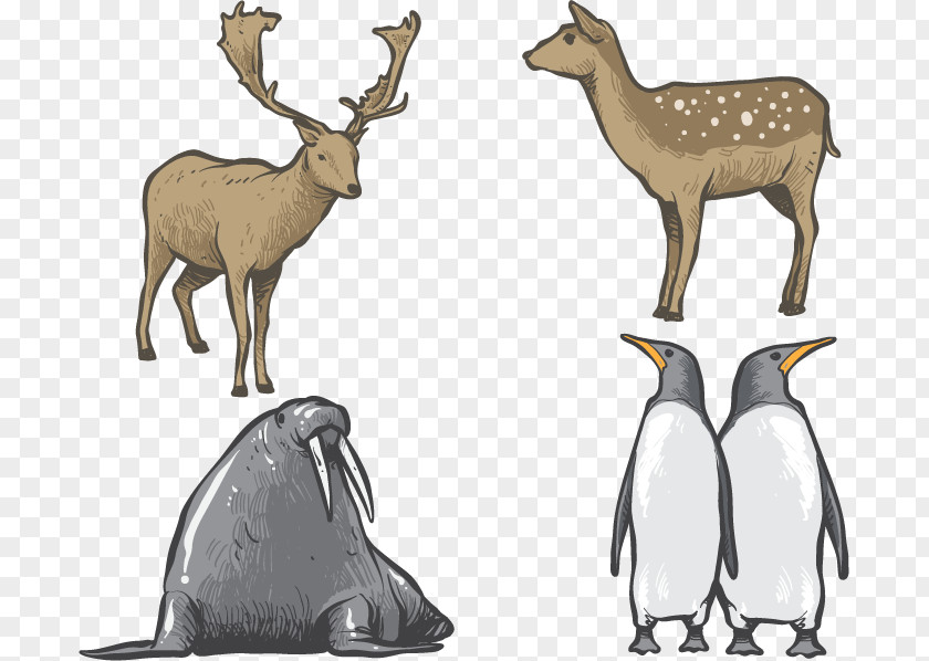 Hand-painted Animals PNG