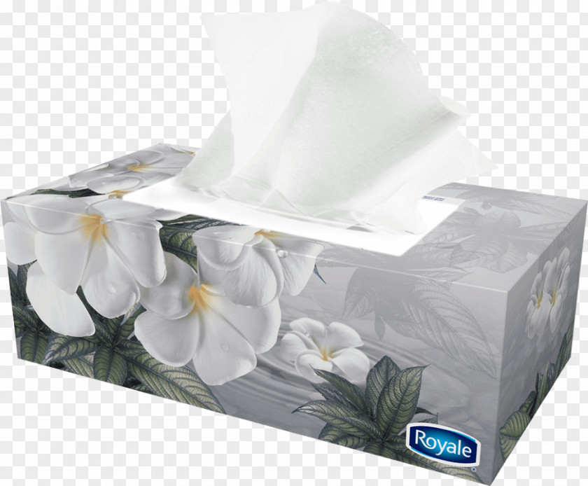 Toilet Paper Facial Tissues Kleenex Tissue PNG