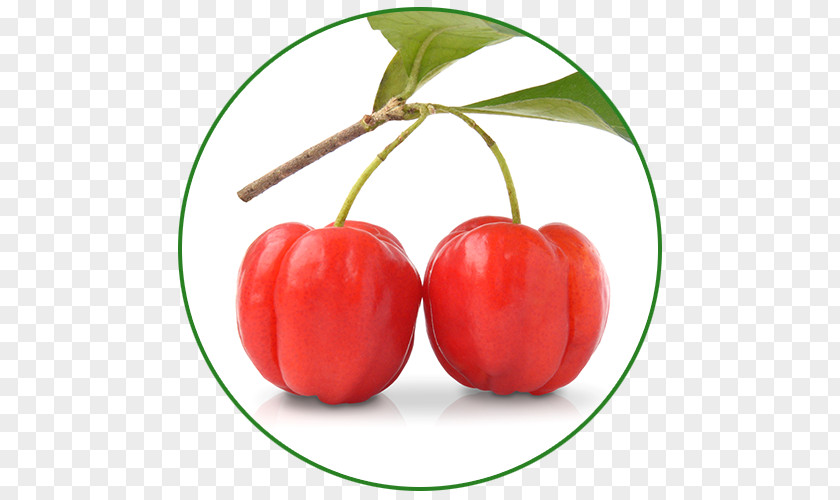 Cherry Barbados Vitamin Fruit Pyridoxine Wild Crapemyrtle PNG