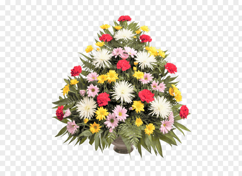 Chrysanthemum Transvaal Daisy Floral Design Cut Flowers PNG