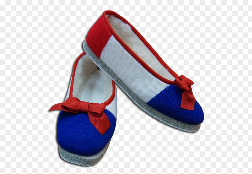 Frenchie Slipper Ballet Flat Chausson Shoe Woman PNG