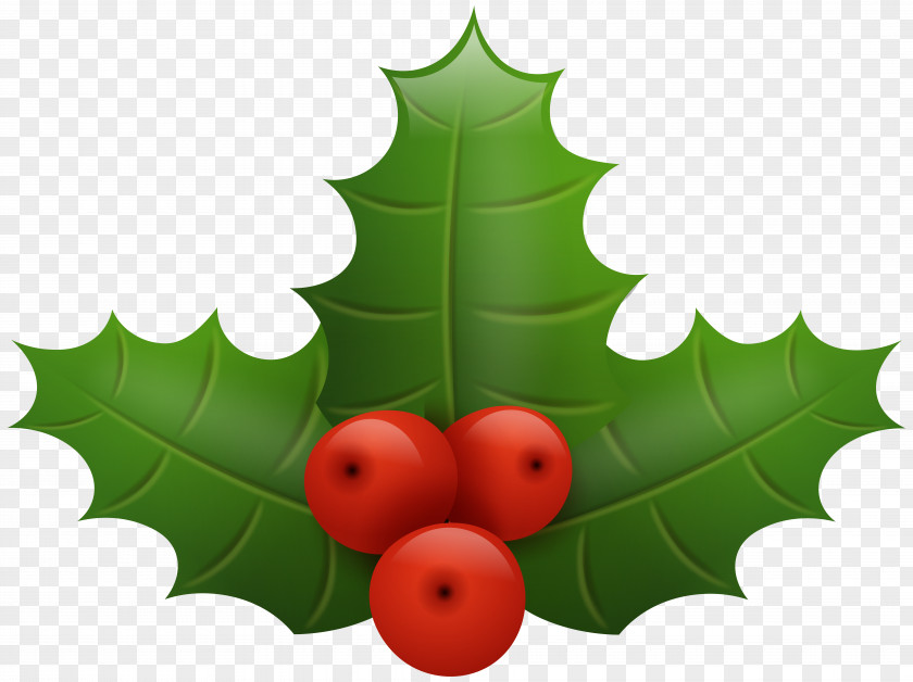 Leaf Christmas Clip Art PNG