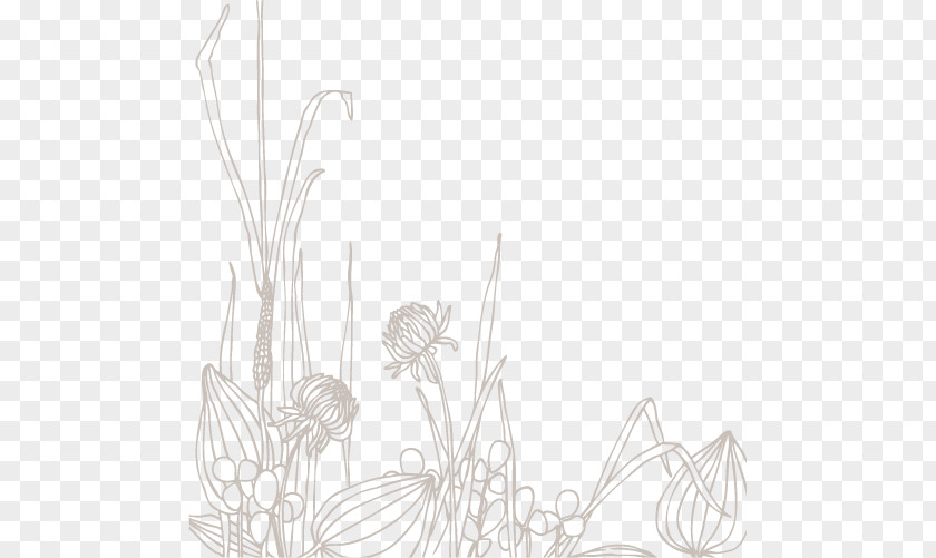 Line Drawing Floral Material Art PNG