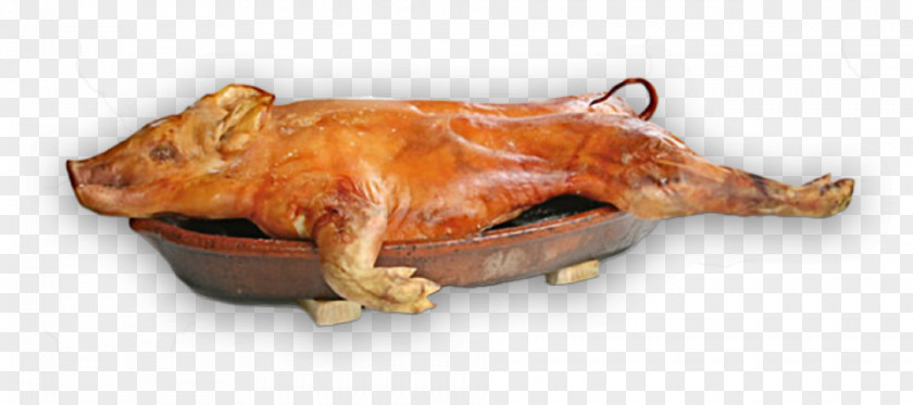 Pig Suckling Roast Barbecue Pig's Ear PNG