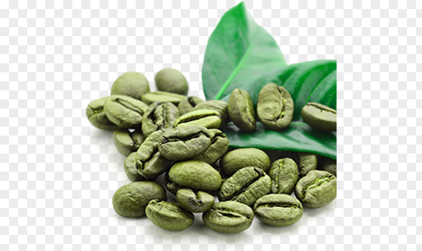 Coffee Instant Green Tea Extract Bean PNG