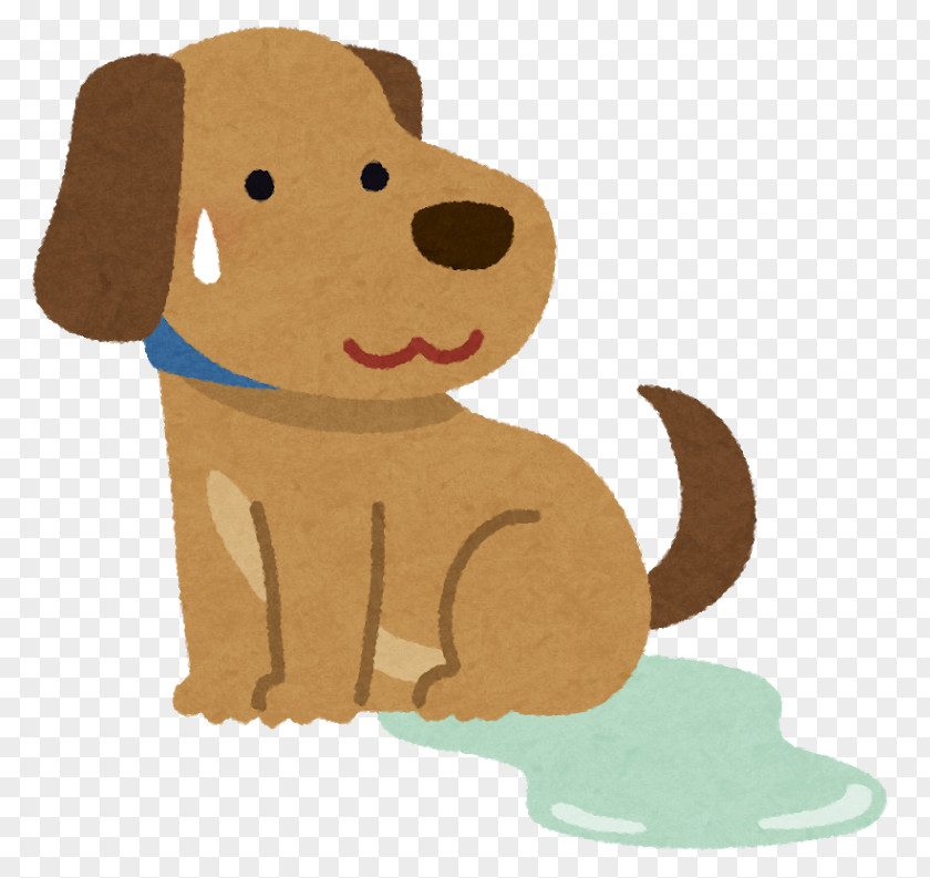 Dog Pet Puppy Toilet Room PNG