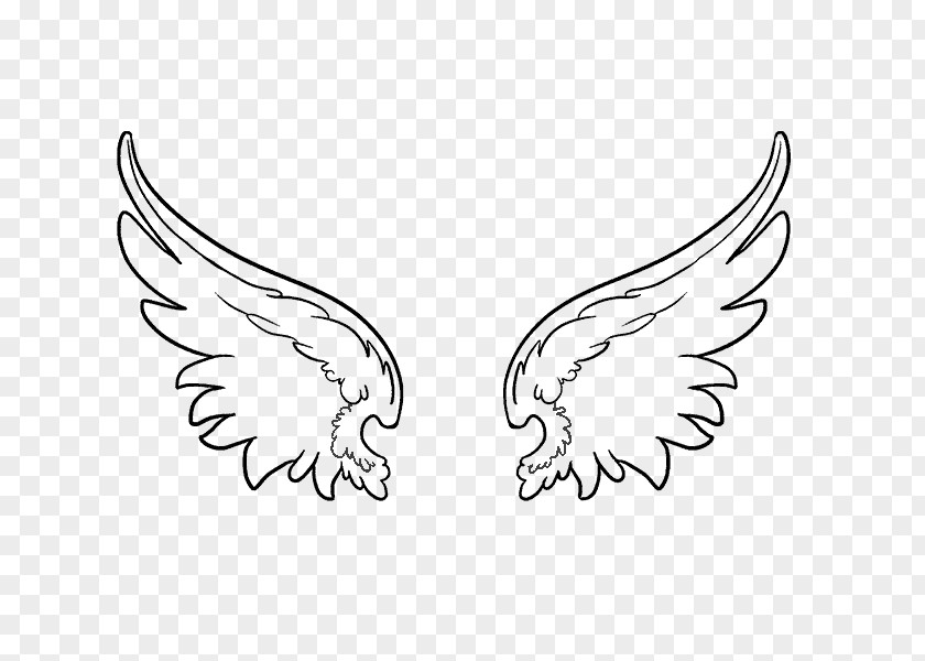 Drawing Image Clip Art Sketch Angel PNG